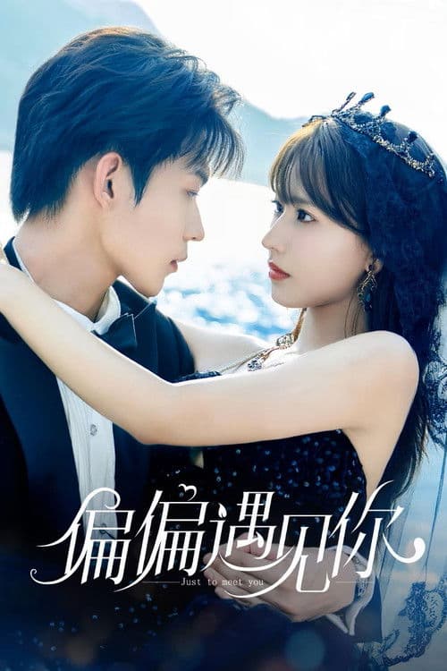 Just To Meet You (2026) บังเอิญพบก็เผลอรัก ซัพไทย