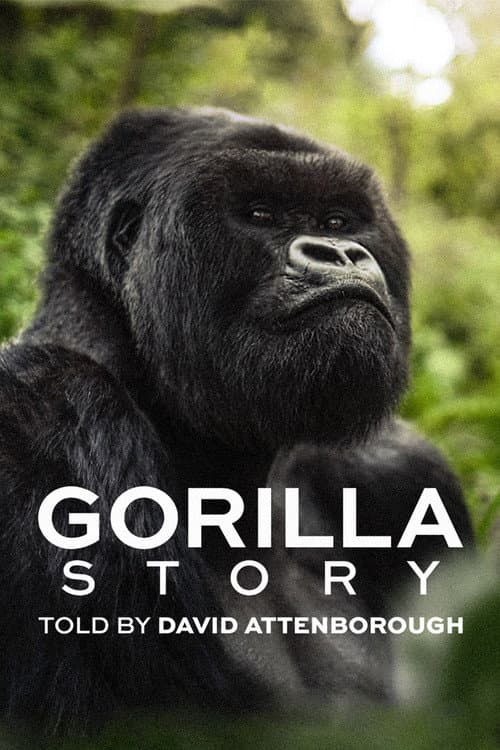 เล่าเรื่องกอริลลา โดยเดวิด แอทเทนเบอเรอห์ A Gorilla Story (2026) พากย์ไทย